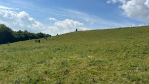 Land for sale in Wincanton photo
